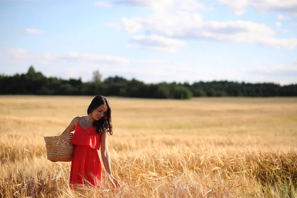 Paysage estival et une fille en promenade nature à la campagne . — Photo