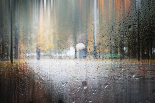 De herfst regen achtergrond in het park — Stockfoto