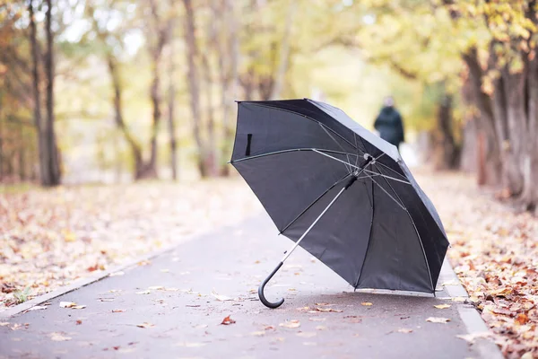 Autunno parco pluviale nel mese di ottobre — Foto Stock