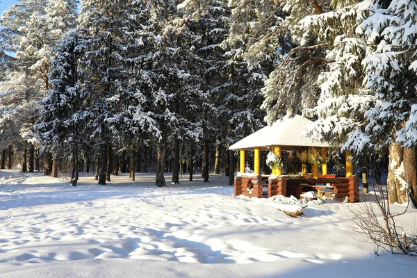 Gazebo de madera en el bosque en invierno día soleado — Foto de Stock