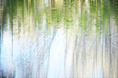 Yağmurlu bir günde sonbahar parkının bulanık görüntüsü