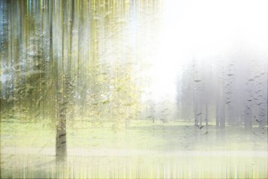 Yağmurlu bir günde sonbahar parkının bulanık görüntüsü