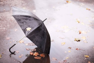 Ekim ayında sonbahar yağmurlu park