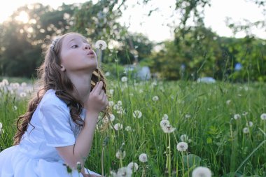 Bir bahar parkta bir karahindiba çiçek tohumlarından üfleme teen