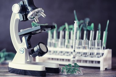 Mikroskop ve test bölümleri laboratuvardaki masanın üzerinde..