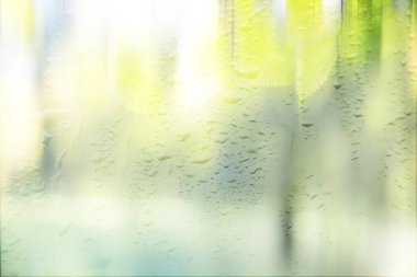 Yağmurlu bir günde sonbahar parkının bulanık görüntüsü 