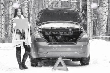 Bir kız bir kış bulutlu günde