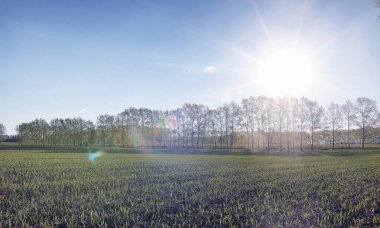Yatay yaz mevsimindeyiz. Yeşil ağaç ve otların arasında kırsal arazi