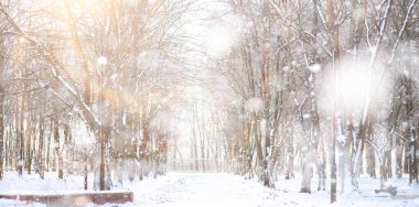 Winter Park 'ta. Karlı havada manzara manzarası. Ocak.
