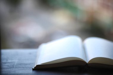 açık bir kitap ve bir tablo