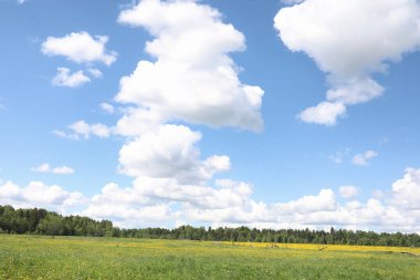 Yatay yaz mevsimindeyiz. Yeşil ağaç ve otların arasında kırsal arazi