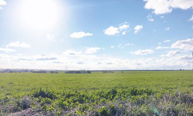 Yatay yaz mevsimindeyiz. Yeşil ağaç ve otların arasında kırsal arazi
