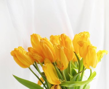 Pencere üzerinde bir vazoda kırmızı lale buketi. İçin bir hediye 