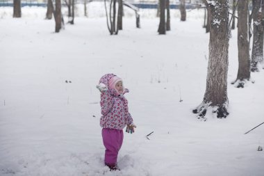 Karla kaplı Kış park ve banklar. Park ve beslenme için pier 
