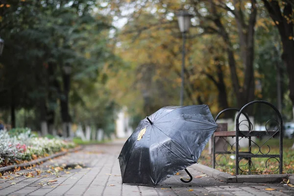 Sfondo autunnale nel parco — Foto Stock