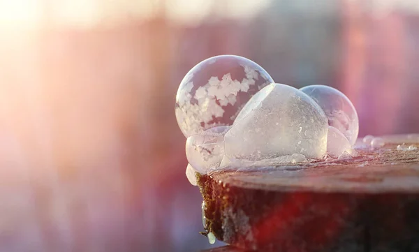 Las burbujas de jabón se congelan en el frío. Invierno agua jabonosa se congela en t — Foto de Stock