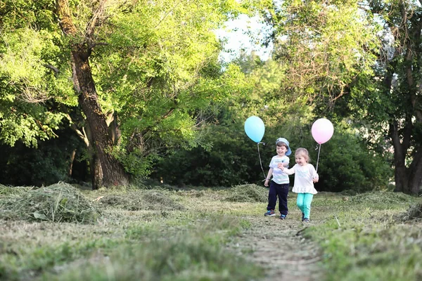 Los niños pequeños están caminando en un parque —  Fotos de Stock