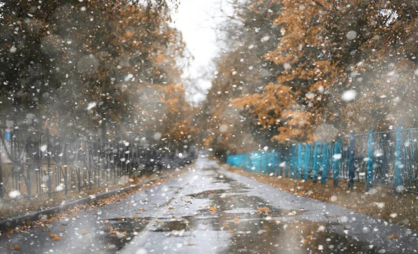 Осенний парк в первом снегу — стоковое фото