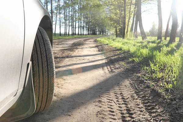 El paisaje es verano. Árboles verdes y hierba en una tierra rural — Foto de Stock