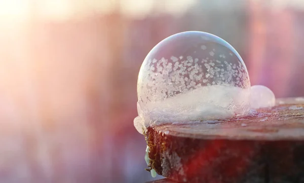 Las burbujas de jabón se congelan en el frío. Invierno agua jabonosa se congela en t — Foto de Stock