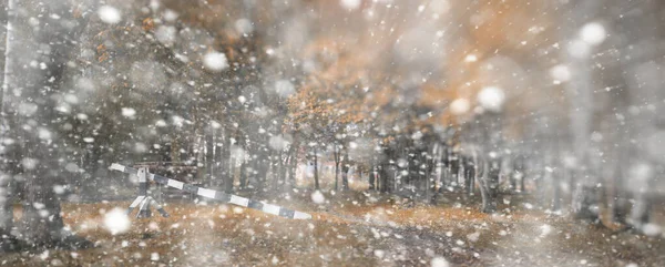 Bakgrunden hösten park i den första snön — Stockfoto