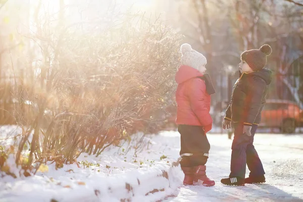 Niños Lindos Ropa Abrigo Jugando Parque Invierno —  Fotos de Stock