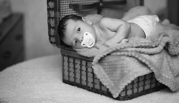 Newborn baby lying on the basket and plaid — Stock Photo, Image