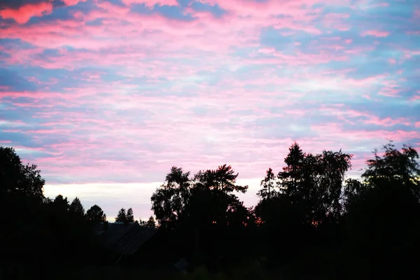 Frühlingssonnenuntergang Über Dem Wald Rosa Und Blaue Wolken Sonnenuntergang — Stockfoto