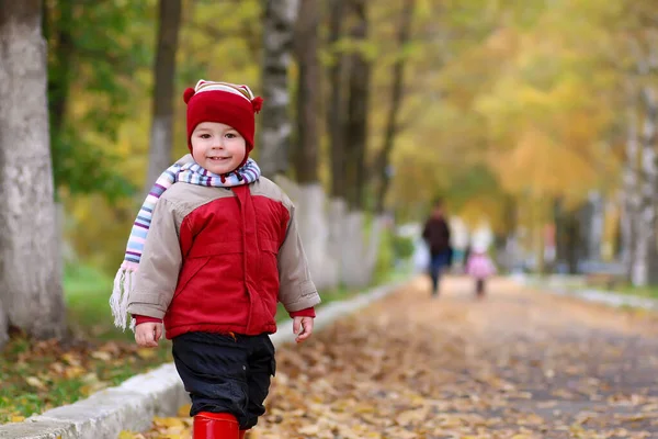 Хлопчик Розважається Прогулянці Осінньому Парку — стокове фото