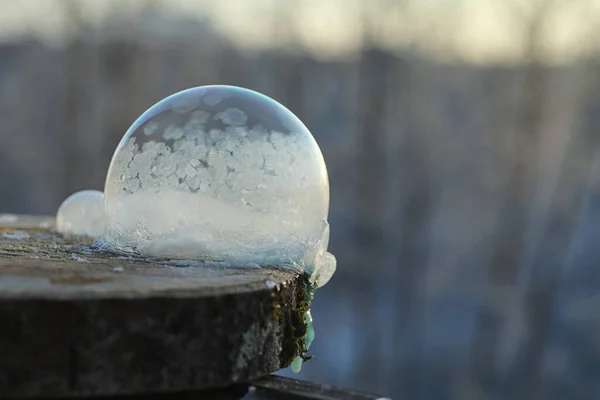 Tvål bubblor fryser i kylan. Vinter tvål vatten fryser i t — Stockfoto