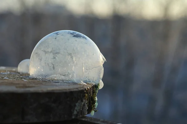 Las burbujas de jabón se congelan en el frío. Invierno agua jabonosa se congela en t — Foto de Stock