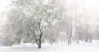 Karla kaplı Kış park ve banklar. Park ve beslenme için pier 