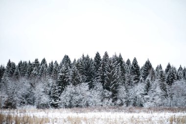 Kırsal alanların ve yolların kış manzarası