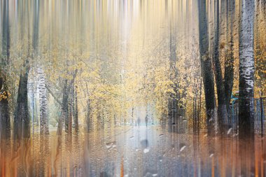 Park arka plan Sonbahar yağmur