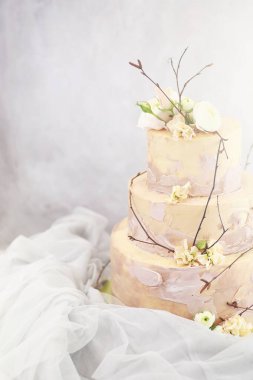 Güzel Festival pasta ile farklı kremler bisküvi