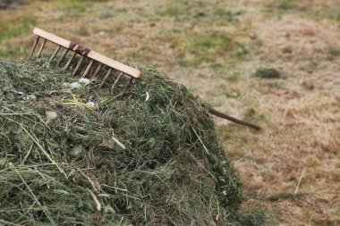 Bir çiftlikte bir komisyon ile Temizleme