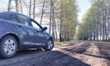 Yatay yaz mevsimindeyiz. Yeşil ağaç ve otların arasında kırsal arazi