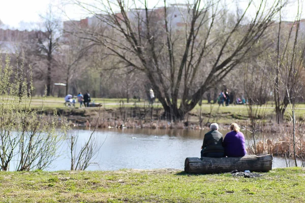 Casal Volta Parque Dia Ensolarado — Fotografia de Stock