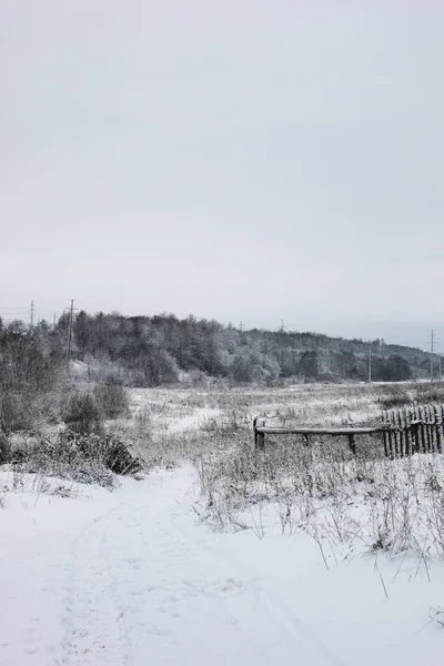 Paisagem no dia nublado de inverno — Fotografia de Stock