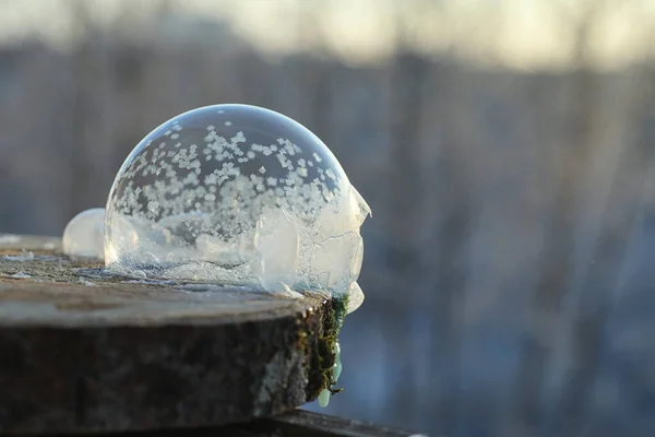 As bolhas de sabão congelam no frio. A água ensaboada do inverno congela em t — Fotografia de Stock