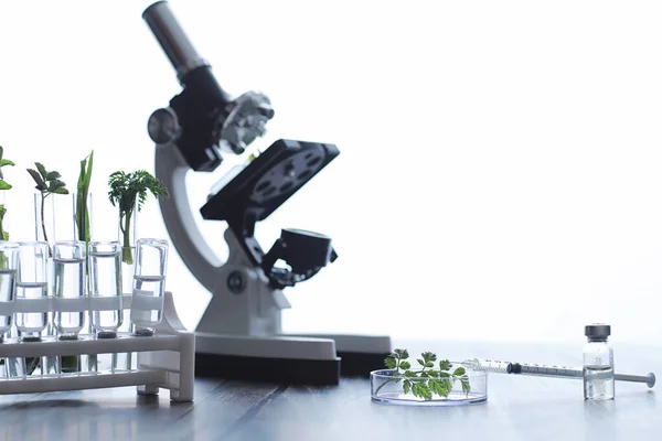 Μικροσκόπιο και δοκιμαστικά διαχωριστικά στο τραπέζι του εργαστηρίου. — Φωτογραφία Αρχείου