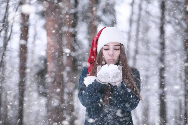 在雪地里的冬季公园里的女孩 — 图库照片