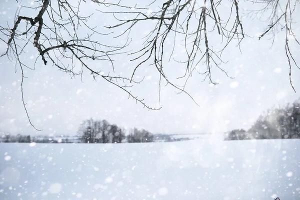 Vidéki mezők és utak téli tájképe — Stock Fotó