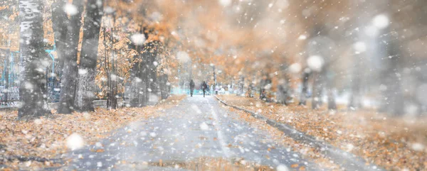 最初の雪の背景秋の公園 — ストック写真