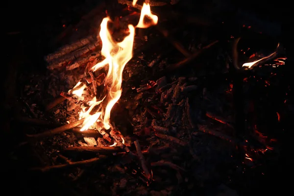 Feu Joie Dans Nature Feu Camp Avec Flamme Charbon — Photo