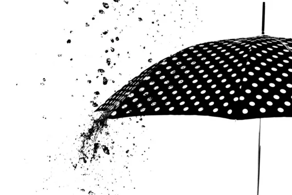Парасолька Краплі Дощу Ізольована — стокове фото