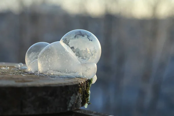 Le bolle di sapone si congelano al freddo. L'acqua saponata invernale si congela in t — Foto Stock