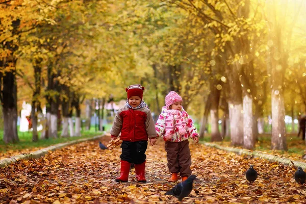Kinder Haben Spaß Beim Spaziergang Herbstpark — Stockfoto
