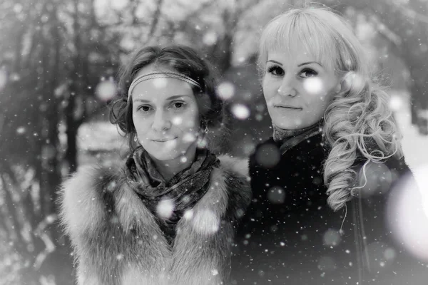 Hermosas Chicas Caminando Parque Invierno Nevado —  Fotos de Stock