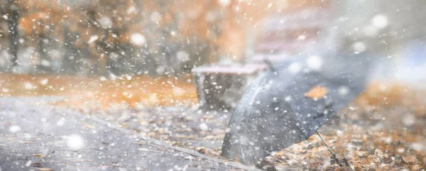 Fundo outono parque na primeira neve — Fotografia de Stock